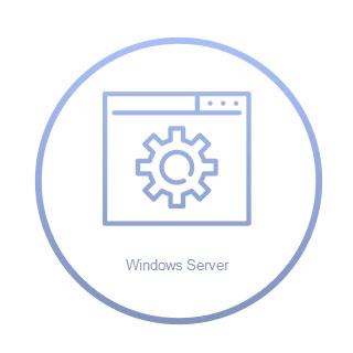 Microsoft Windows 2025 Standard Server X64 1pk DSP 16 Core dt.DVD